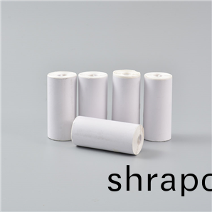 便(bian)攜式(shi)一聯單(dan)-空白無捲芯76x130